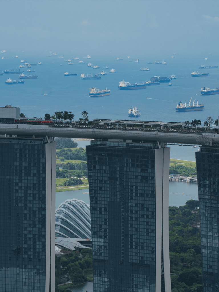 Look at all those ships!